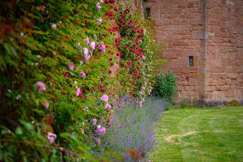 Maxstoke Castle